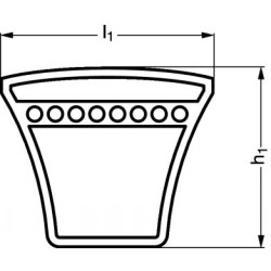 Courroie trapézoïdale GATES ou OPTIBELT TYPE SPC. Courroie trapézoïdale GATES ou OPTIBELT TYPE SPC.