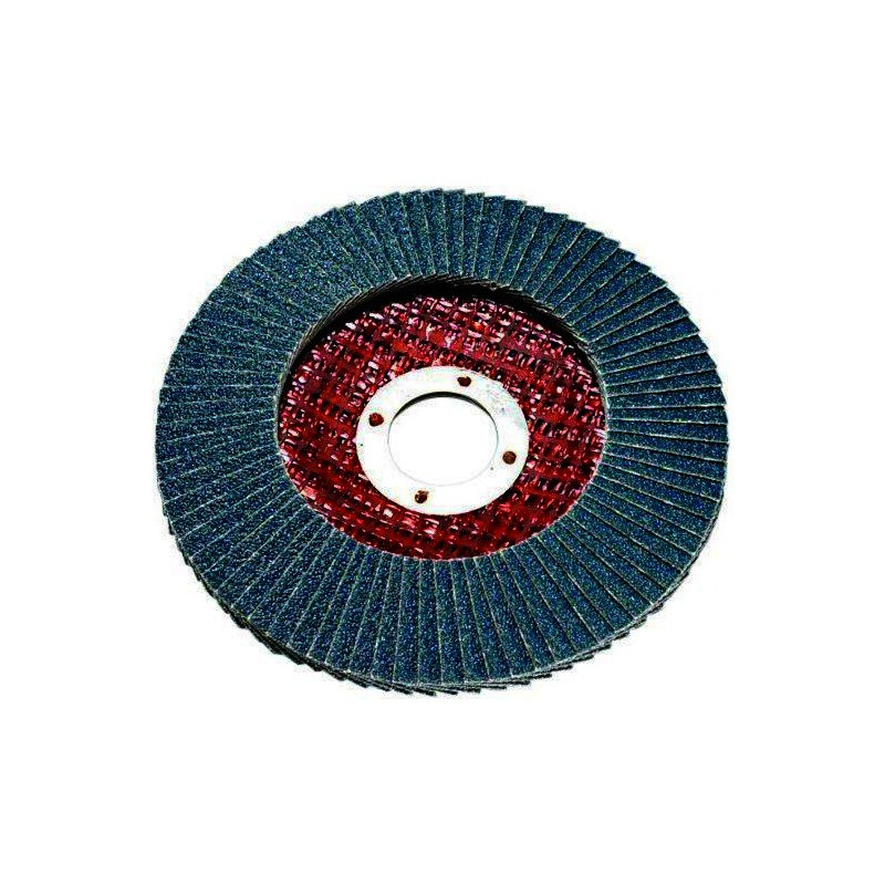 Disque plateau plat Ø 125 mm à lamelles Disque plateau plat Ø 125 mm à lamelles