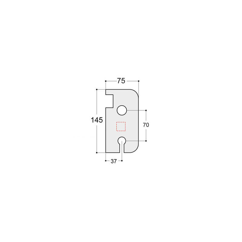 Protection de serrure type 2 CF Protection de serrure type 2 CF